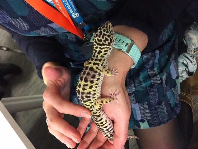 Tracey with Gecko