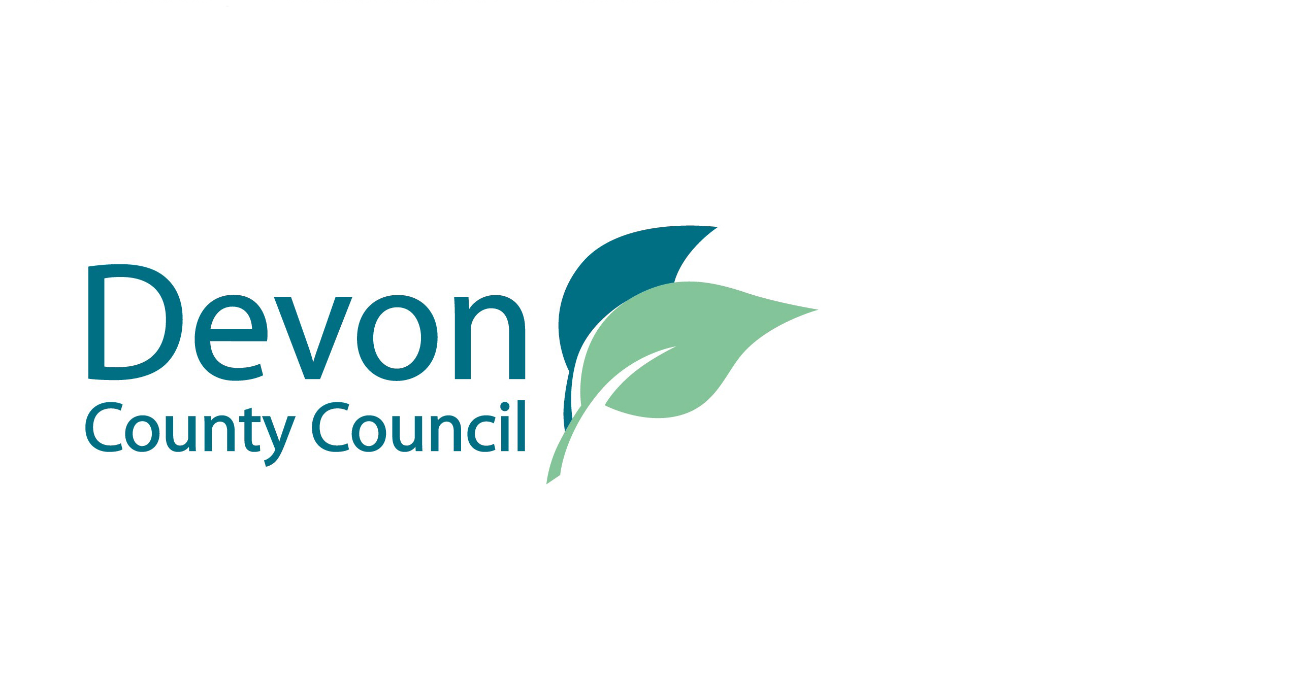 County Councillors Support Devon in Sight